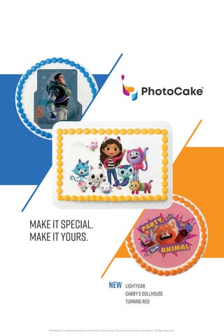 Cover of "PhotoCake® Update 45 The Magic of Cakes® Book"
